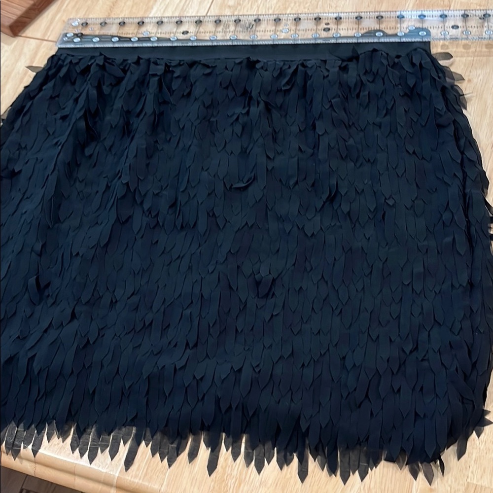 Elegant Black Feathered Skirt
